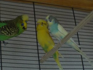 FILE0161.JPG FILE0161.JPG