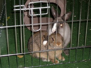 Heute 077 (640x480).jpg