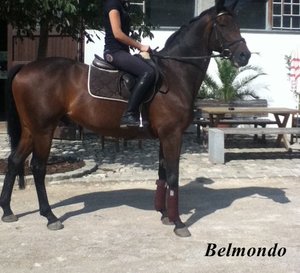 Belmondo zum Bearbeiten.jpg