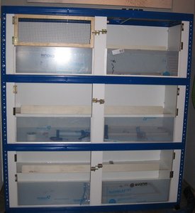 mit scheiben.JPG mit scheiben.JPG