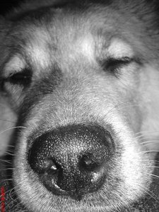 DSC0203333333.jpg DSC0203333333.jpg