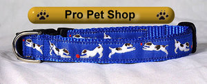 jack_russell_collar_blue.jpg