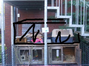 Kaninchengehege 006.JPG