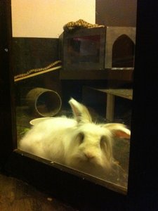 IMG_0260.JPG IMG_0260.JPG