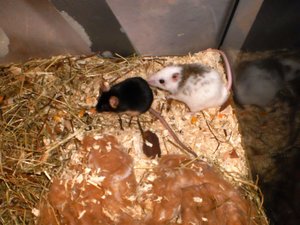 PICT0413.JPG PICT0413.JPG