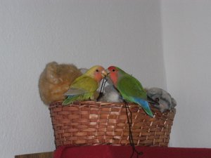 DSCF4417.JPG DSCF4417.JPG