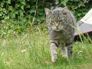 P1090712.jpg P1090712.jpg