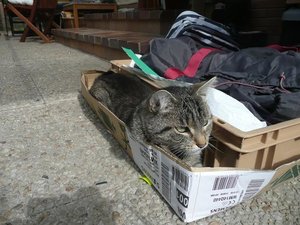 P1110775.jpg P1110775.jpg