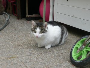 P1100446.jpg P1100446.jpg