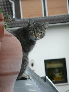 P1110394.jpg P1110394.jpg