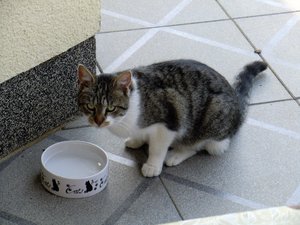 CIMG0342.jpg CIMG0342.jpg