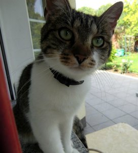 CIMG0414.jpg CIMG0414.jpg