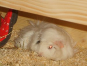 Kopie von S6001212.JPG