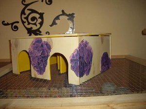 CIMG7611.JPG CIMG7611.JPG