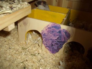 CIMG7616.JPG CIMG7616.JPG