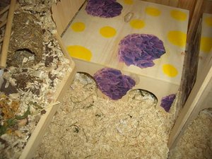 CIMG7617.JPG CIMG7617.JPG