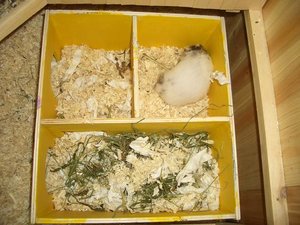 CIMG7615.JPG CIMG7615.JPG