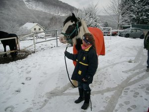 nemo22.jpg nemo22.jpg