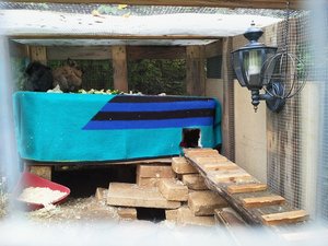 neu stall isoliert 1-5 (3).jpg