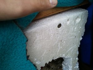 neu stall isoliert 1-5 (1).jpg