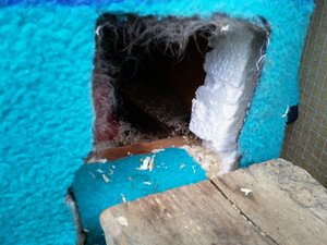 neu stall isoliert 1-5 (5).jpg