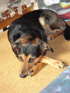 DSC00414 (480x640).jpg