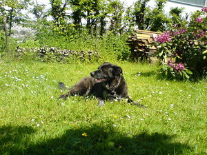 8458018wxo.jpg 8458018wxo.jpg