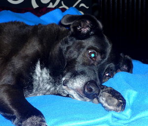 8458020vxd.jpg 8458020vxd.jpg