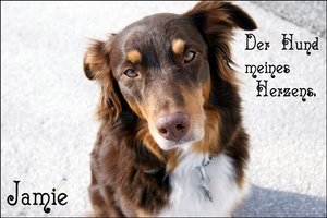 jamie1.jpg jamie1.jpg