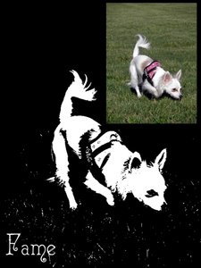 Fame51.jpg Fame51.jpg