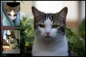 7588079kkl.jpg 7588079kkl.jpg