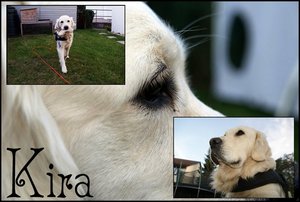 Kira.jpg Kira.jpg
