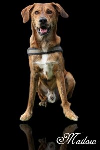 Mailow2spiegel.jpg Mailow2spiegel.jpg