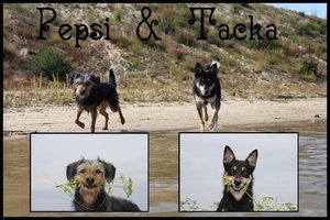 okyrqyk5.jpg okyrqyk5.jpg