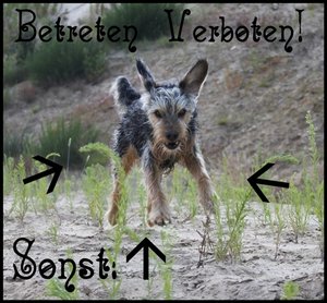 3qv77bsi.jpg 3qv77bsi.jpg