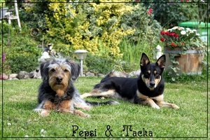 neo4le321.jpg neo4le321.jpg