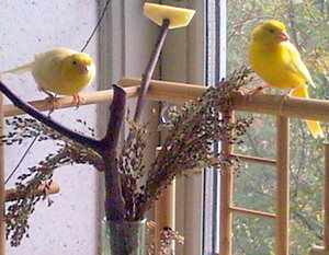 Foto-285.jpg Foto-285.jpg