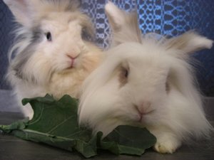 Familie ist das Wichtigste!.JPG