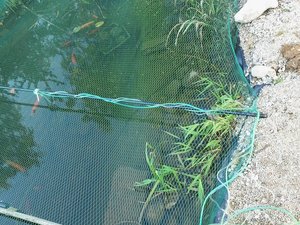 2011-10-17 16.43.45neu neu.jpg