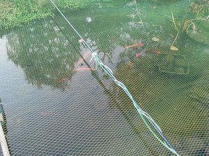 2011-10-17 16.43.41neuneuneuneu.jpg