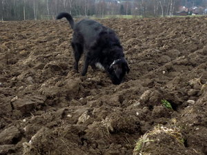 8524100avt.jpg 8524100avt.jpg