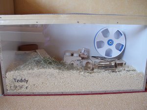 TeddyÂ´s KÃ¤fig (6).JPG