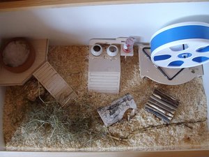 TeddyÂ´s KÃ¤fig (5).JPG