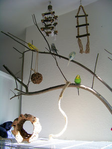 1003871k.jpg 1003871k.jpg