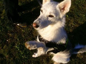 BILD0643.JPG BILD0643.JPG