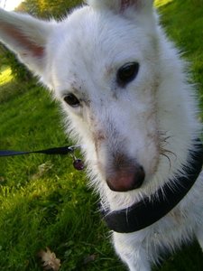 BILD0662.JPG BILD0662.JPG