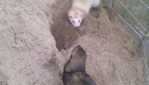 1319892725936.jpg 1319892725936.jpg