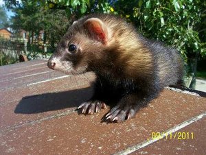 1319694964430.jpg 1319694964430.jpg