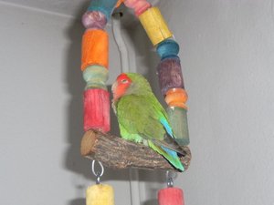 DSCF4740 - Kopie.JPG