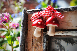 Klein4.jpg Klein4.jpg